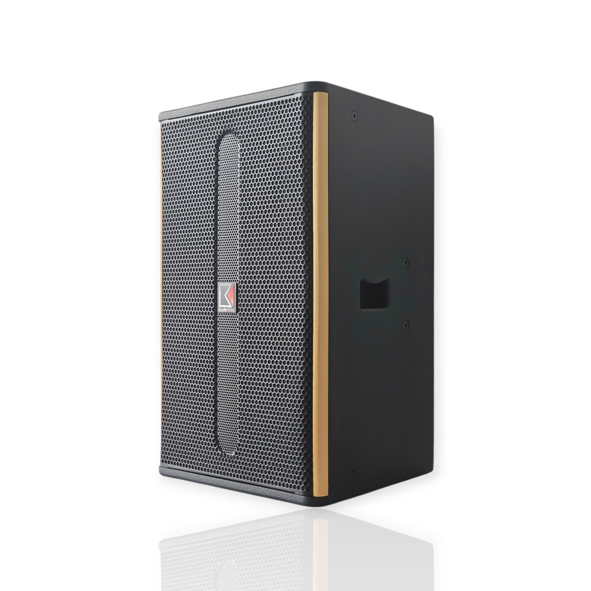 FULL-RANGE AUDIOKING Q-12